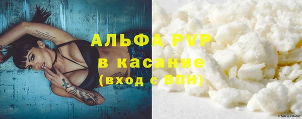 ГАЛЛЮЦИНОГЕННЫЕ ГРИБЫ Краснотурьинск