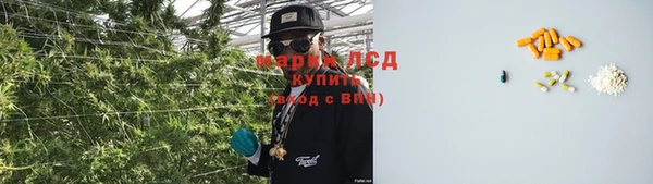 ГАЛЛЮЦИНОГЕННЫЕ ГРИБЫ Краснотурьинск