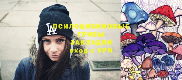 соль курить ск Краснослободск