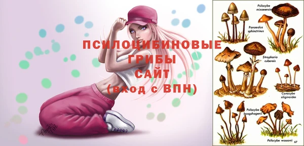 соль курить ск Краснослободск