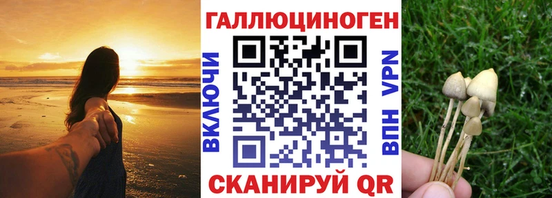 Галлюциногенные грибы мухоморы  как найти   Строитель 