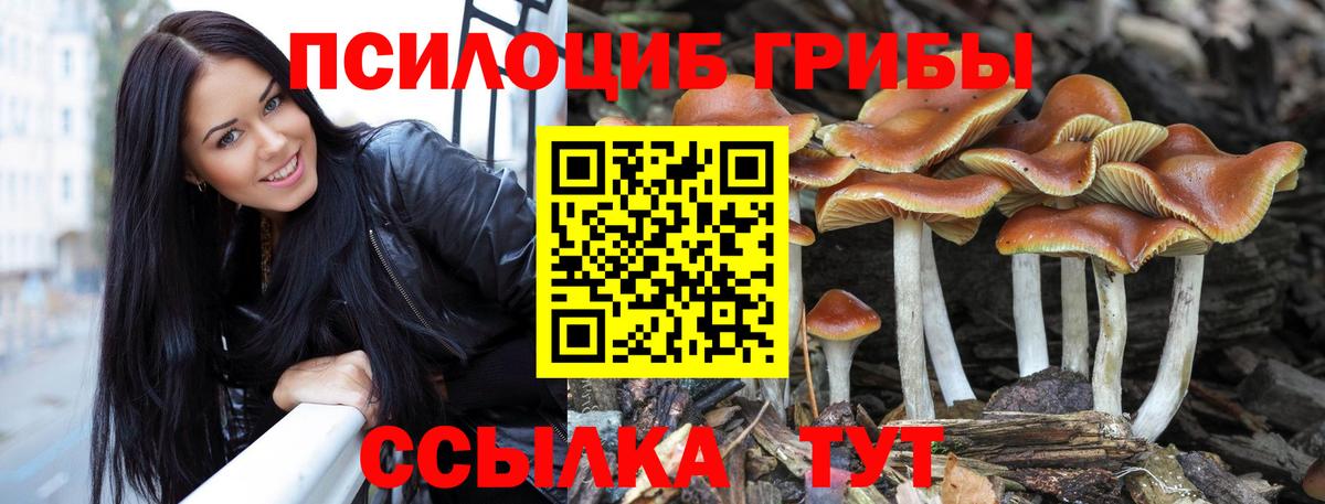 Псилоцибиновые грибы мухоморы Строитель