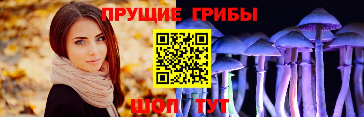 Строитель  магазин продажи   Вход с VPN  Псилоцибиновые грибы мухоморы 